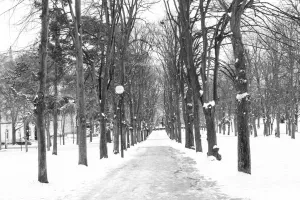 Snowy Path in Paris